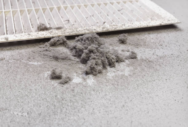 Best Air Duct Mold Removal  in Staffd, OR